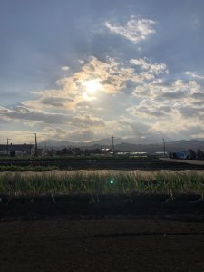 値上がり