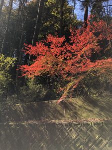 午前中山梨へ