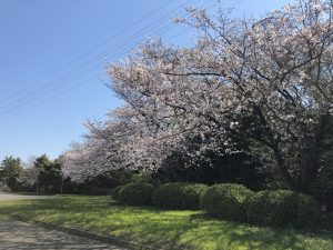 川崎へ
