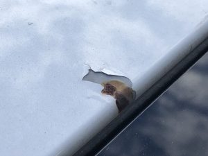 塗装剥がれ