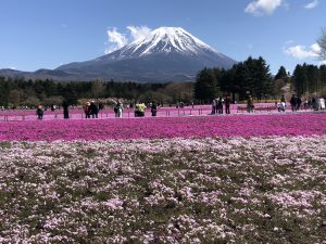 ツーリング