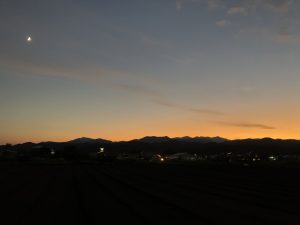 7年経ちました