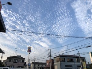 夜のドライブ