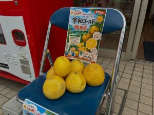 宇和ゴールド