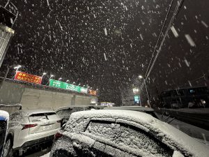 予想通り
