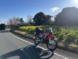 現地から送られてきた写真