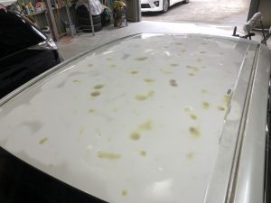 雹害車