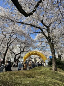 桜まつり