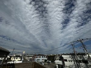 お疲れ様会