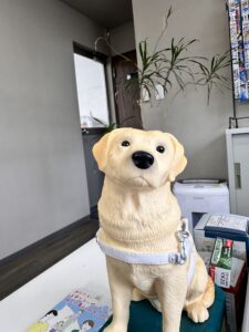 ありがとうございます