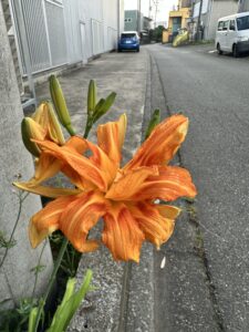 花