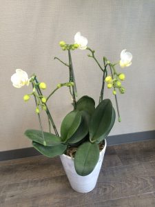 もっと頑張らないと