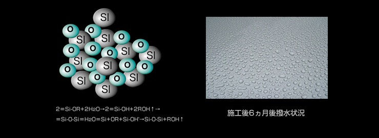 施工後6ヶ月後撥水状況